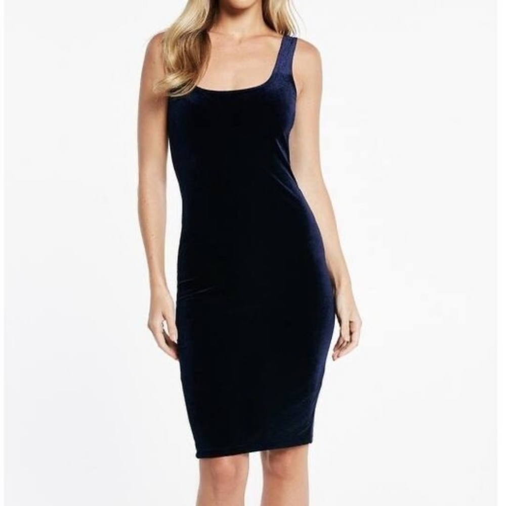 Bardot Blue Velvet Scoop Neck Dress